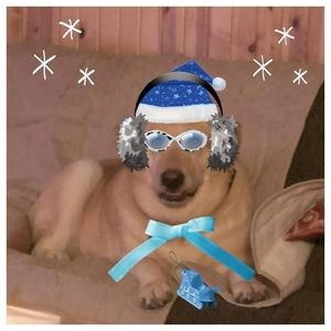 Meet your Posher, Keri